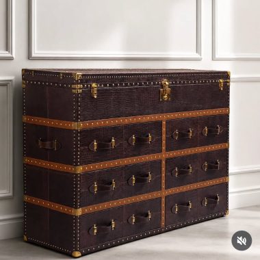 Leather Trunk