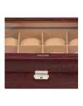 watch case-2